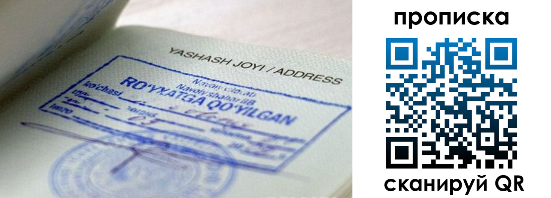 временная регистрация надежно в Ярославской области